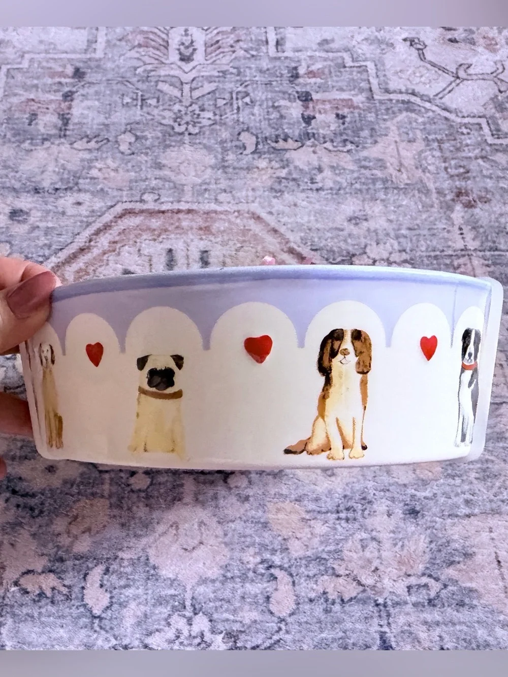 Harvest Green Studio Cream & Lavender Dog Bowl with Red Heart Accents